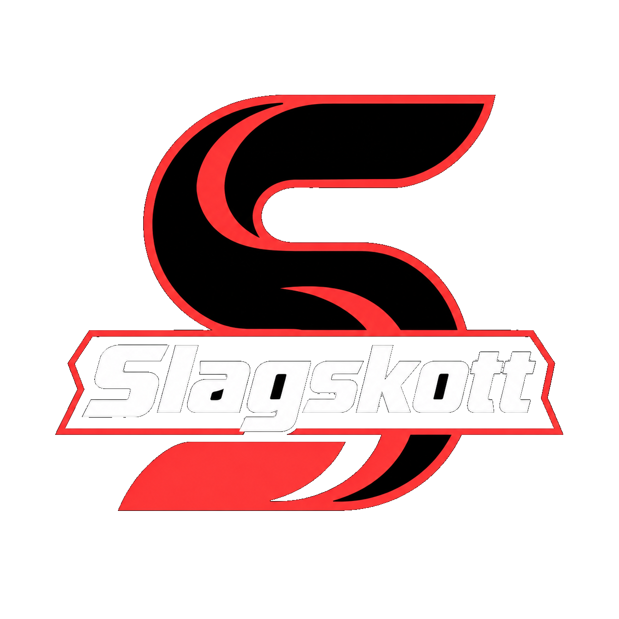 Slagskott